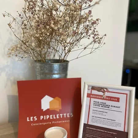 Clos Pasteur Modern For 4 People * Poitiers