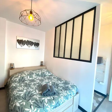 Apartment Clos Pasteur Modern For 4 People